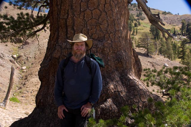 Pine tree and me. Ebbets Pass 9000ft.